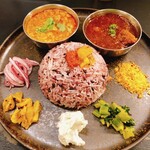 Curry Spice Gelateria KALPASI - 