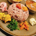 Curry Spice Gelateria KALPASI - 