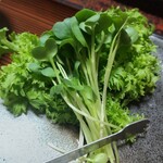 富田屋別館 - 
