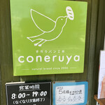 Coneruya - 