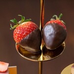 bar＆chocolate CACAOTAIL - 