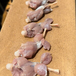 レヴォ - 静止画では分からないが、捌いたこの状態でも動いている。アズマヒキガエルのモモ肉。