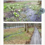 うどん処 無もん - かたしないろ HPより拝借