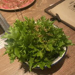 渋谷焼肉 KINTAN - チョレギサラダ