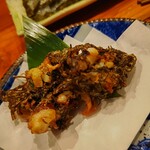 コンペイトウ - 