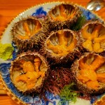 コンペイトウ - 