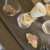 Jose Luis Karuizawa - 