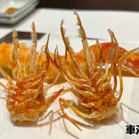 天冨良 よこ田 - 