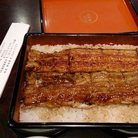 五代目 野田岩 麻布飯倉本店 - 天然鰻５５００円ｊ