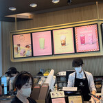 STARBUCKS COFFEE - 
