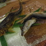 徳山鮓 - 琵琶湖産と近隣の丹生川産の食べ比べ