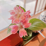 日本料理 鳥羽別邸 華暦 - 