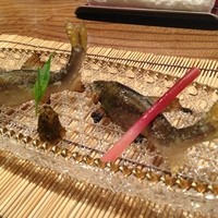 日本料理 とくを - 