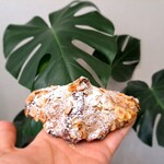 パン・デ・フィロゾフ - ⚫クロワッサン・オ・ノアビート