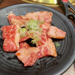 Korean Shokubou Ondoru Fujieda ten - 