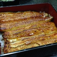 駒形前川 浅草本店 - うな重アップ