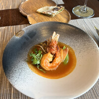 SPICE LAB TOKYO - 