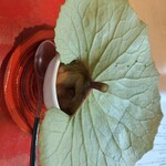 妙見石原荘 食菜石蔵 - 蓋は葉っぱ