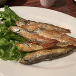 厨房酒場 カモメセラー - 