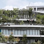 馬刺しと焼き鳥 グルマン三年坂 - 