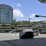 馬刺しと焼き鳥 グルマン三年坂 - 