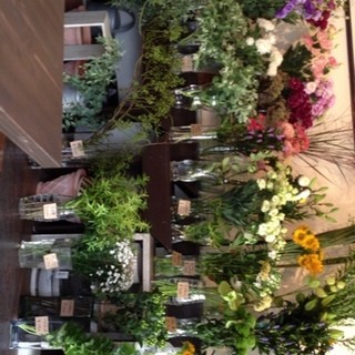 オレンジテール_2