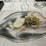 クイントカント - 