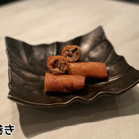 CINA New Modern Chinese - 