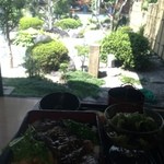 和風レストラン関本陣 - すべて個室座敷から中庭を見ながらの会食となります。
