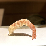 天ぷら 元吉 - 代名詞と言えるブリッジ型の巻き海老。
            海老自体の味を楽しむ薄衣＆お塩で。