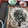 大畠家 - 料理写真:ざるソバ！