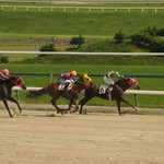 ひがし - 生は良いですね！