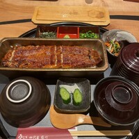 うなぎ四代目菊川 ミッドランドスクエア 名古屋本店 - 