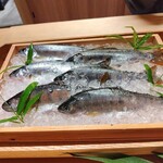 橦木町 しみず - 郡上天然雨子（アマゴ）