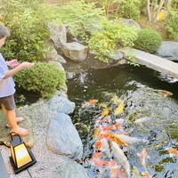 炭焼うな富士 白壁別邸 - 