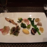 オッジ ダルマット 西麻布店 - 