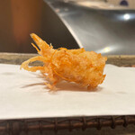 Tempura Mikawa - 