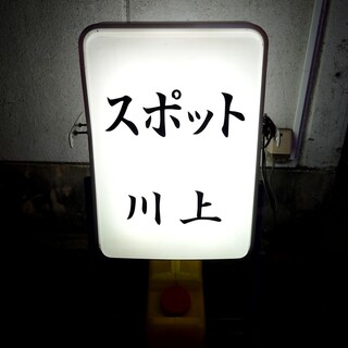 スポット川上_2