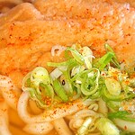 さぬきうどん - きつねうどん