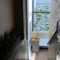 オッティモ・シーフード・ガーデン 新宿店 - 