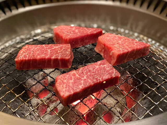 写真 : やきにくキッチンぱくぱく - 城北公園通/焼肉 | 食べログ