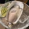 oyster market カキイロハ
