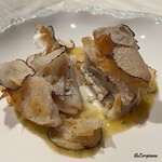 プチレストラン ブーケ・ド・フランス - 帆立貝柱とトリュフのミルフィーユ仕立のパートフィロ包み焼 ソースブールブラン