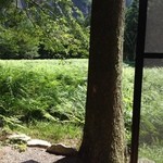 日登美山荘 - 店内より