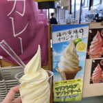 さいき海の市場〇 - マリンレモンソフトクリーム