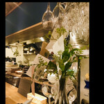 da Uma - ダ・ウーマ内装　　byまみこまみこ