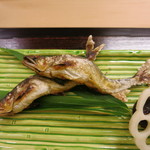 京料理かねき - 鮎が絶品！