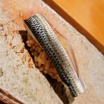 匠 進吾 - コハダ