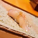 匠 進吾 - シマアジ