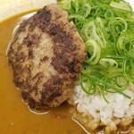 松屋 - ねぎたっぷりハンバーグスパイスカレー